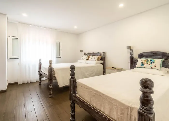 Madeira Bird House - House In The Mountains With Garden *